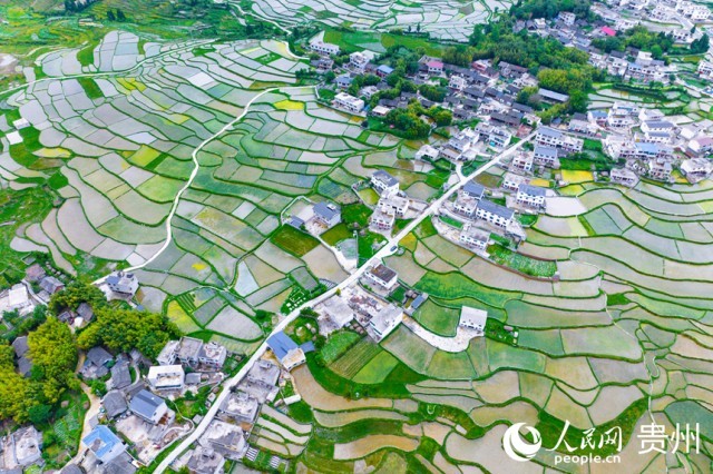 �����F��л�Ϫ�^(q��)��������������W(w��ng)ӛ�� Ϳ���z