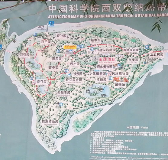 �Ї�(gu��)�ƌW(xu��)Ժ���p��{�Ꭷֲ��@��(d��o)�[�D